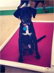 daycare pic 12 - Remi